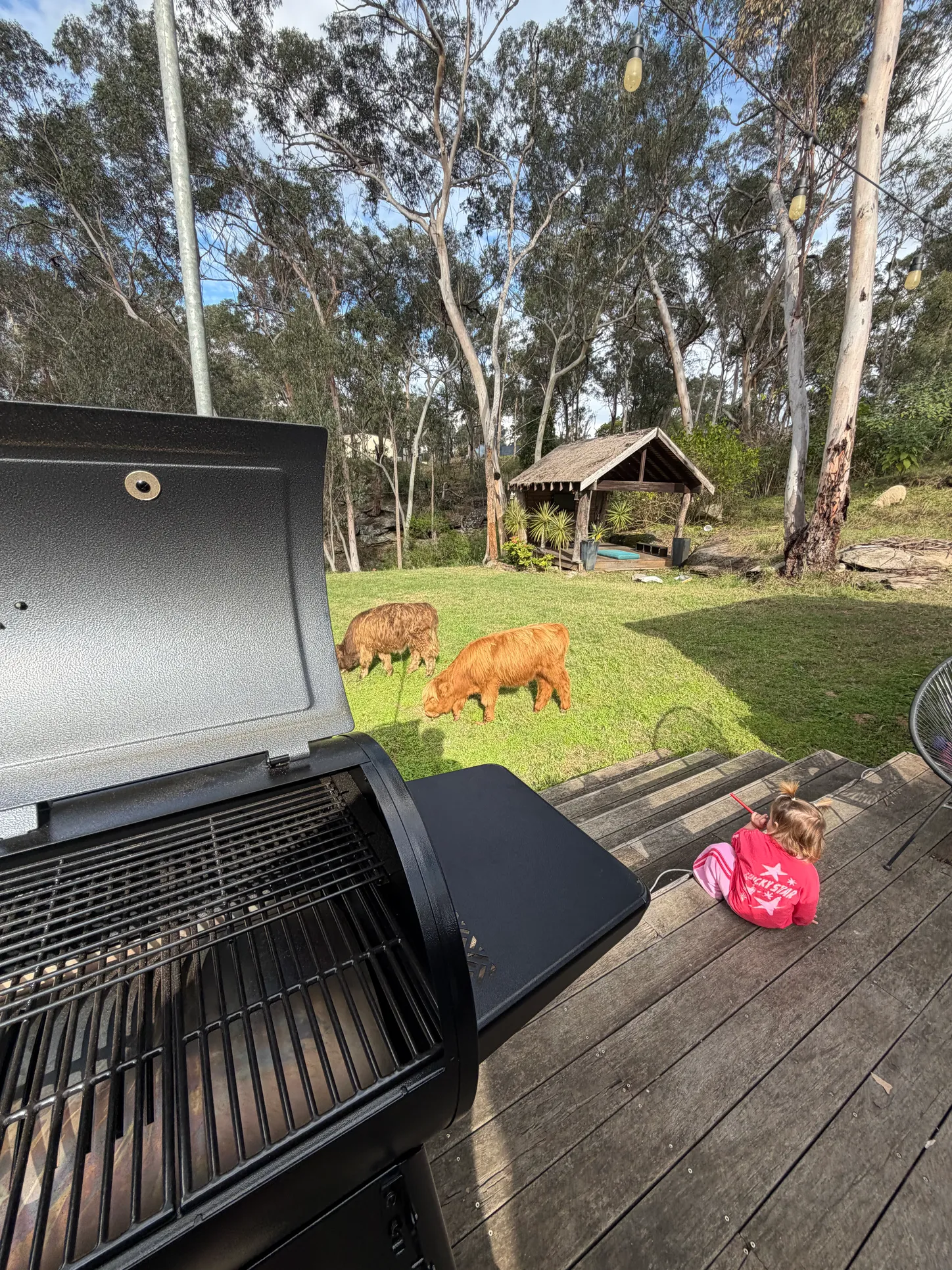 Other guest house barbecue deck overlooking the grounds