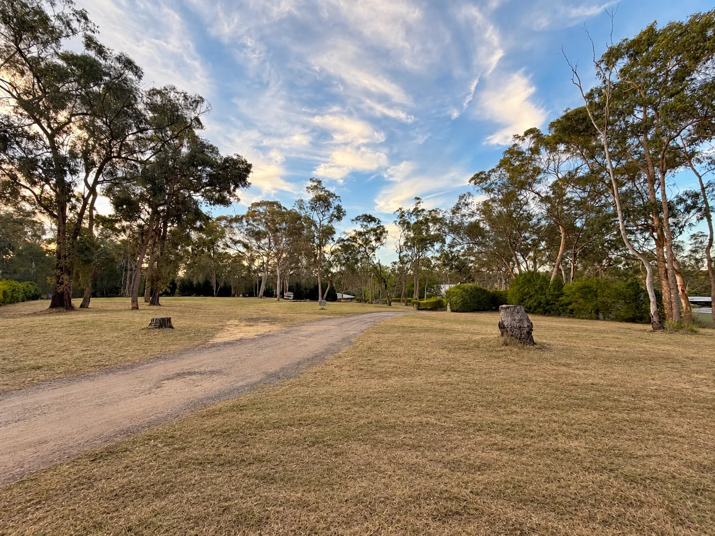 Sweeping driveway and mature trees across the grounds